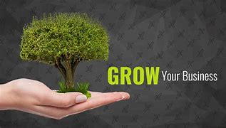 Growing Your Online Business Successfully